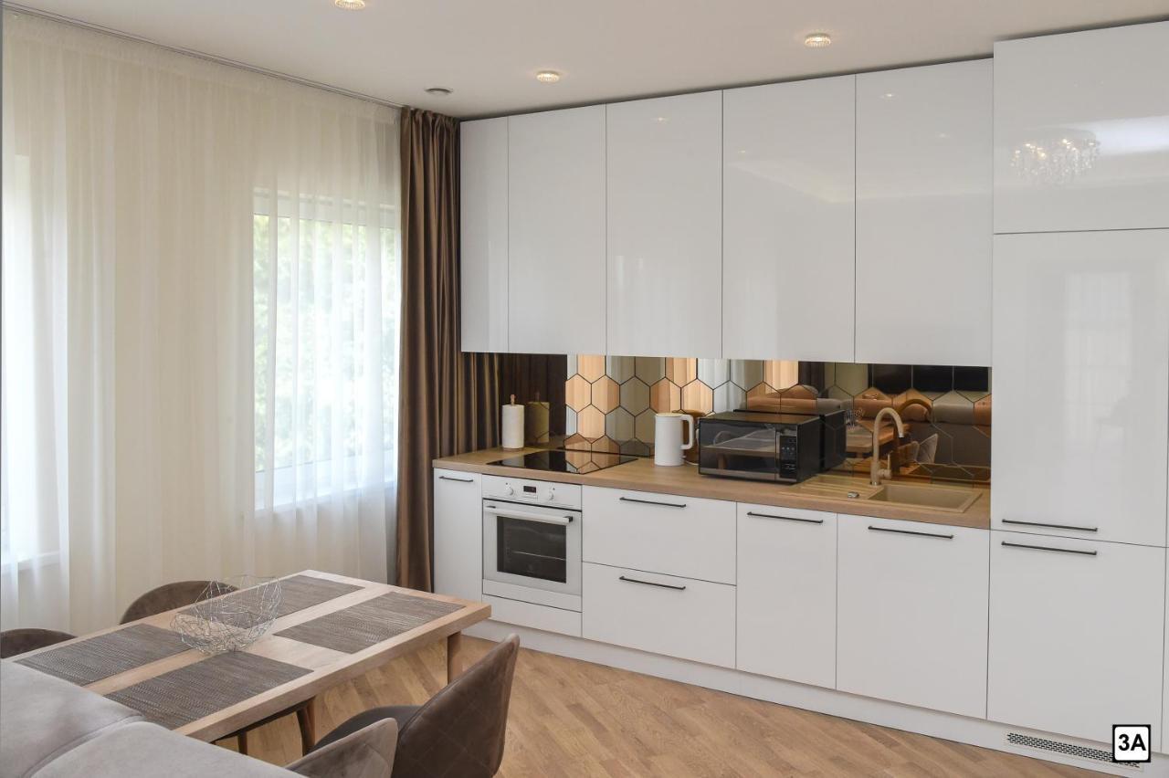 Roof Terrace Apartment Panevėžys 외부 사진